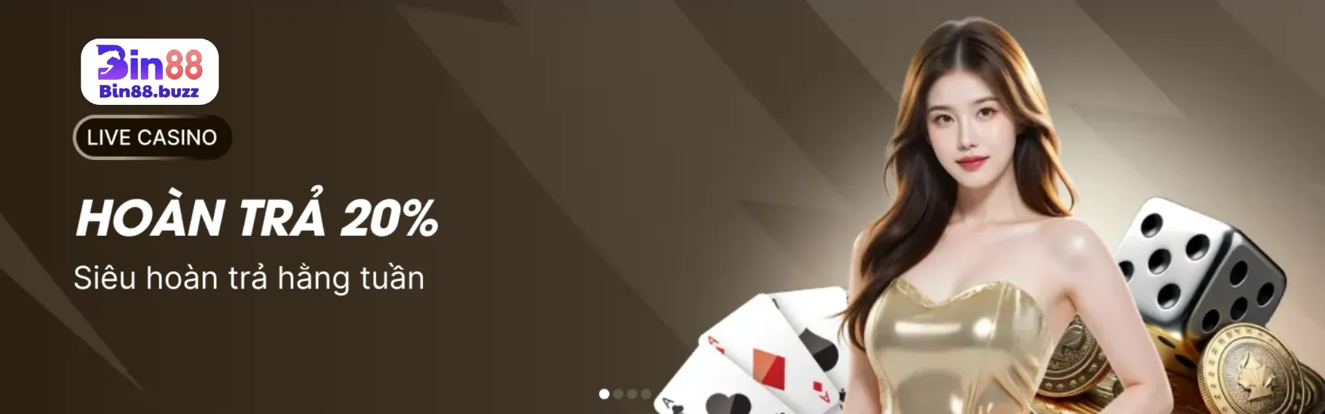 banner bin88